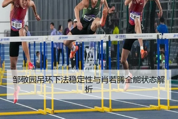 邹敬园吊环下法稳定性与肖若腾全能状态解析