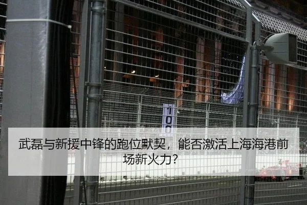 武磊与新援中锋的跑位默契，能否激活上海海港前场新火力？